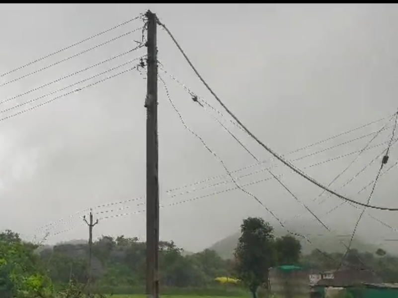 Neem fell on power pole wires in Indranagar area of Danta; Fortunately ...