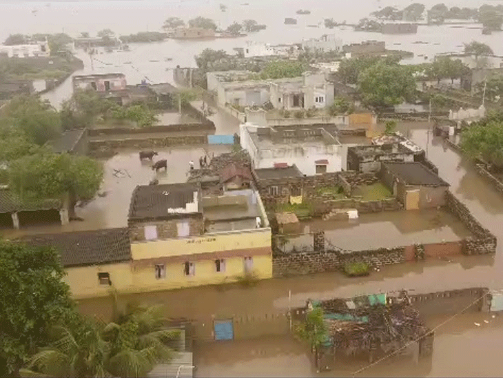 Everywhere you look, water is water; Residential areas turned into bats,  waters of Charekor Bhadar, Ozat and Madhuvanti overflowed. | ઘેડ પંથકમાં  વરસાદની તબાહીનાં આકાશી દૃશ્યો: જ્યાં નજર કરો ત્યાં ...
