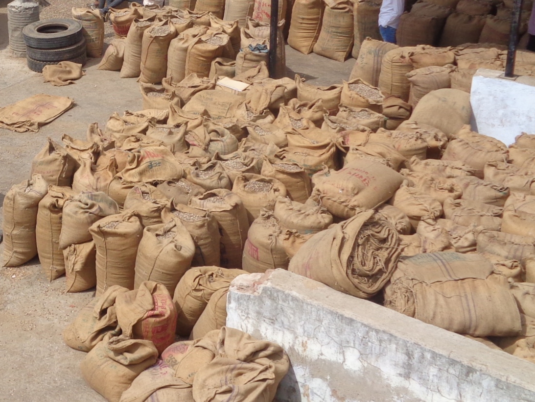 A police complaint was lodged against the theft of 13 bags of cumin seeds  kept by a farmer in the village of Kathadara in Patdi. | લાખો રૂપિયાના  જીરુંની ઉઠાંતરી: પાટડીના કઠાડા