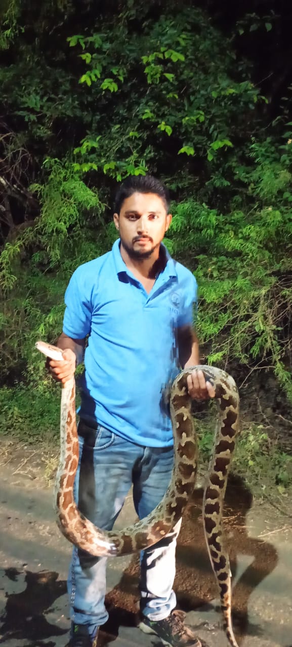 The python was rescued and released to a safe place | અજગરને રેસ્કયૂ ...