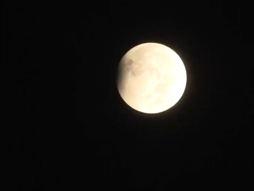 Lunar Eclipse 2023 Time And Date Latest News Update And Chandra Grahan Sutak Timings In India