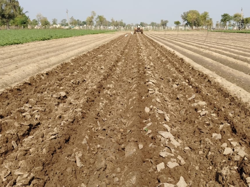 Extensive damage to potato crop due to unseasonal floods in Disa ...
