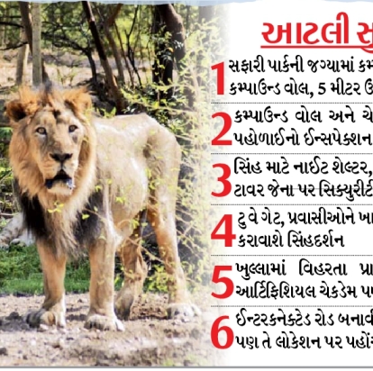 Lion Safari Park will be built in Rajkot, lion sighting will be done ...