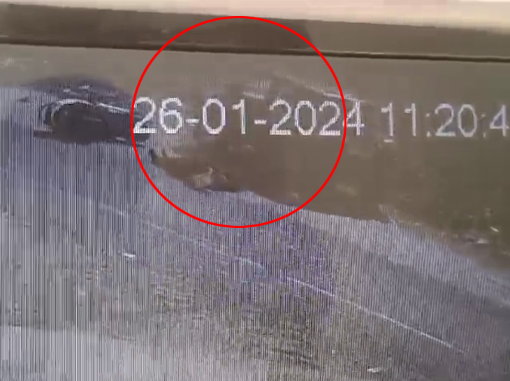 કાર ચાલકને ઝડપી લેવા તપાસ હાથ ધરી