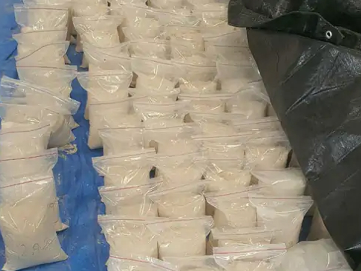 Drugs worth 1187 crores were seized from Gujarat | ગુજરાતમાંથી 1187 કરોડનું ડ્રગ્સ ઝડપાયું: ચૂંટણી દરમિયાન દેશભરમાં જપ્ત કરાયેલા કુલ મૂલ્યમાંથી લગભગ 30% ગુજરાતમાં ...