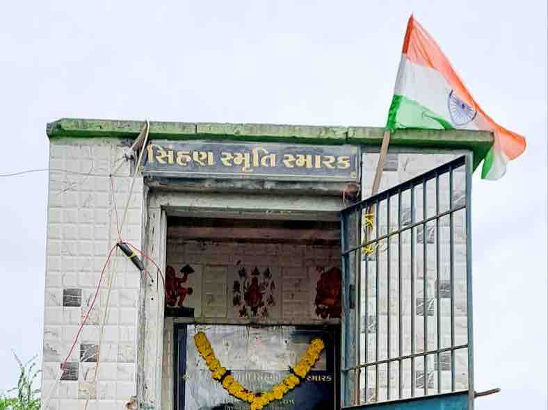 In the world's only lion memorial temple at Bherai, lion aarti was  performed, lion chalisa was held and worship was performed. | સિંહ દિવસની  અનોખી ઉજવણી: દુનિયામાં એક માત્ર ભેરાઈ ખાતે આવેલા