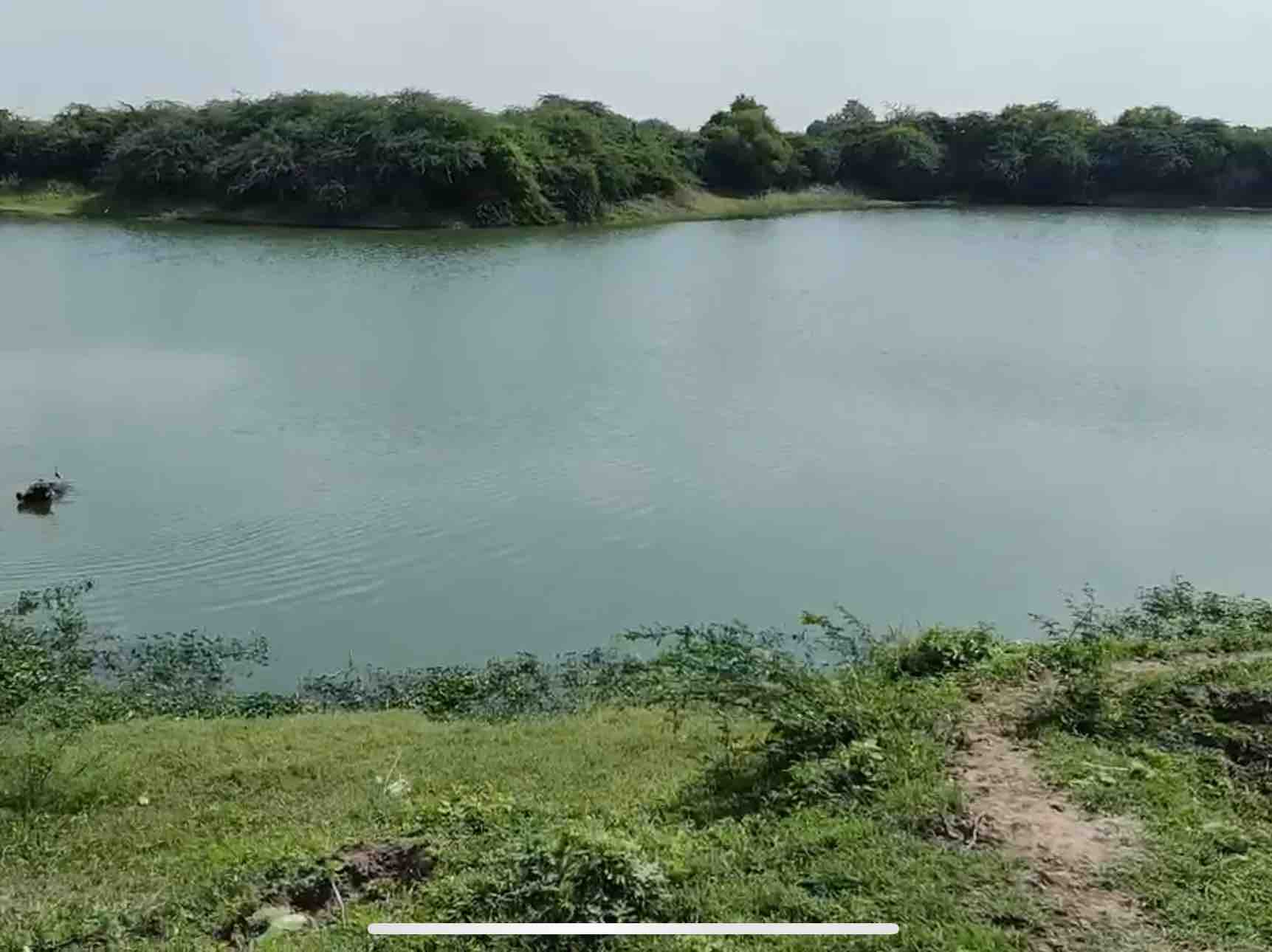 The village in Gujarat where Raksha Bandhan is not celebrated today