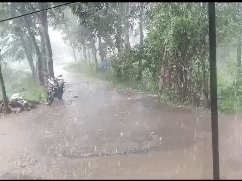 It has been raining since morning | સવારથી જ વરસાદી માહોલ જામ્યો ...