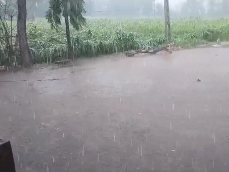 It has been raining since morning | સવારથી જ વરસાદી માહોલ જામ્યો ...