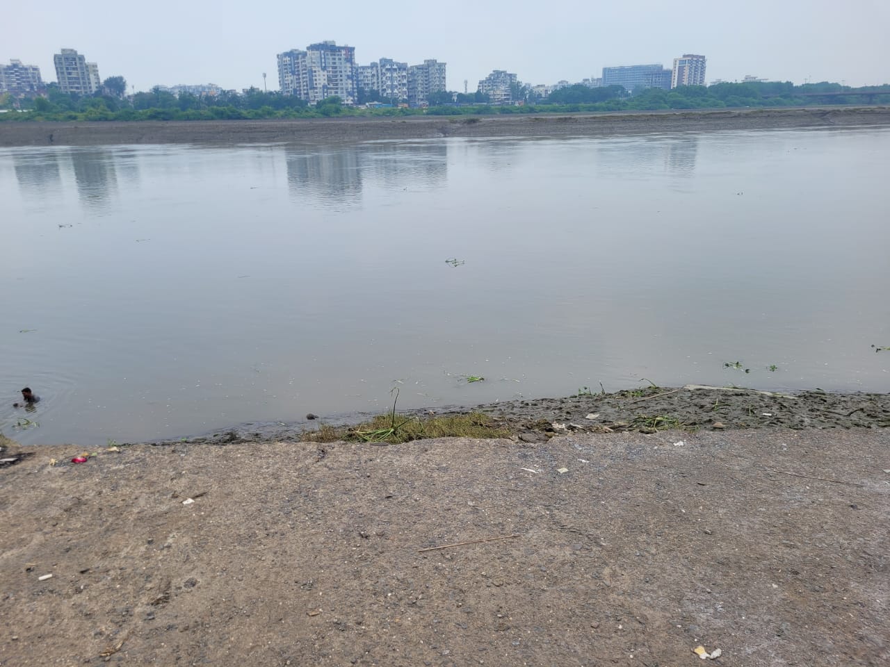 તાપી નદીમાં વોટર મેટ્રોની શક્યતા ચકાસાઈ રહી છે