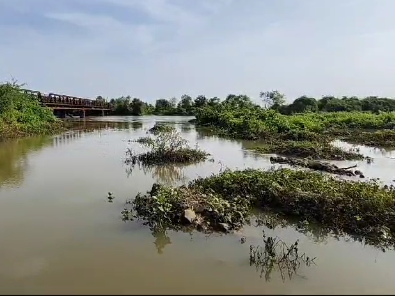 The village sarpanches alleged that the Dhadhar river of Jabunsar and ...