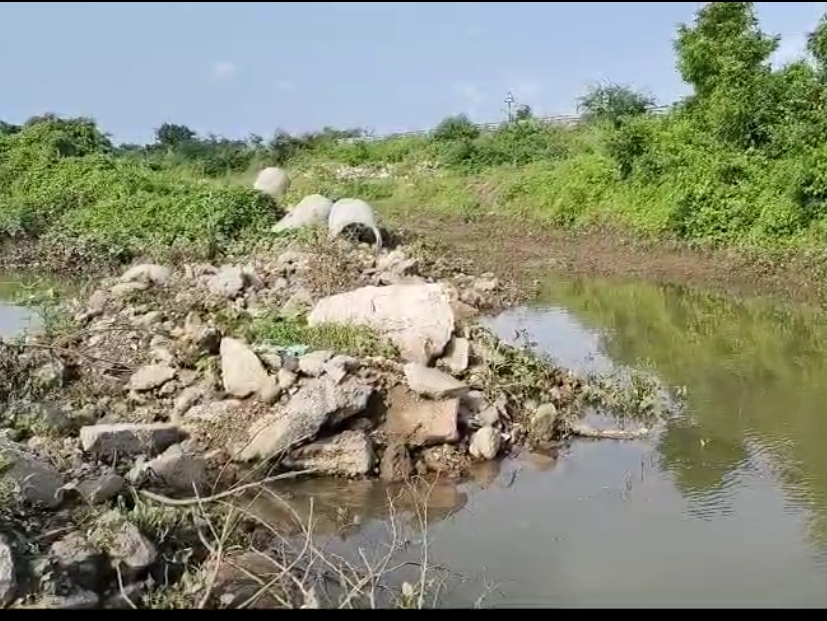 The village sarpanches alleged that the Dhadhar river of Jabunsar and ...