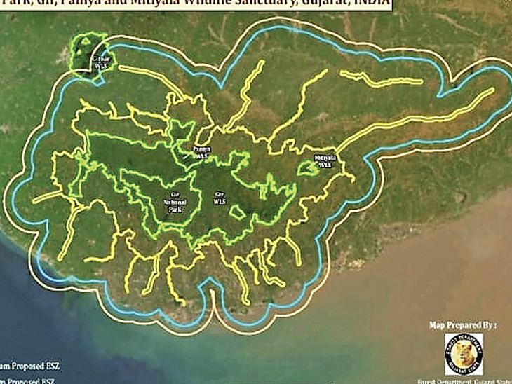 1.84 lakh hectare area near Gir forest is eco sensitive | જાહેરનામું: ગીર  જંગલ પાસેનો 1.84 લાખ હેક્ટર વિસ્તાર ઇકો સેન્સિટિવ - Ahmedabad News | Divya  Bhaskar