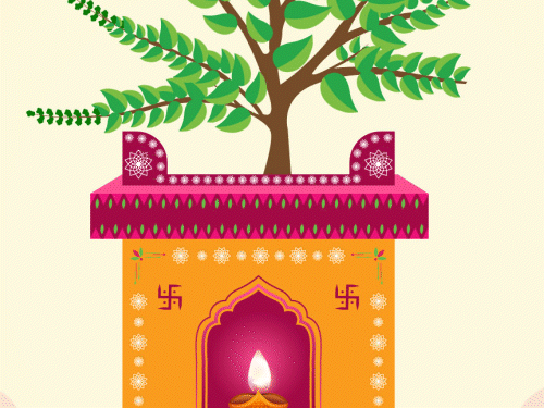 Tradition of planting Tulsi plant at home