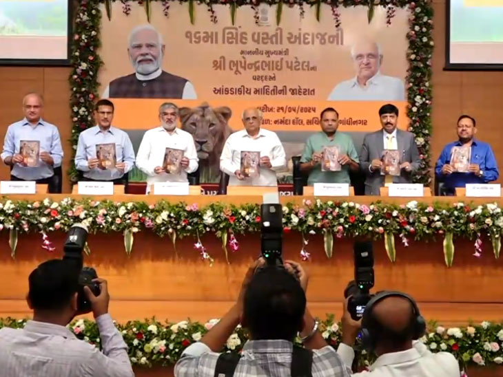 CM releases figures from 16th lion census conducted in Gir Sanctuary, lion habitat area increases | ગુજરાતમાં 891 એશિયાટિક સિંહ: ગીર અભયારણ્યમાં કરાયેલી 16મી સિંહ વસતિગણતરીના આંકડા CMએ ...