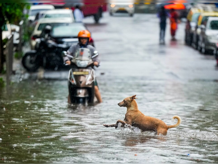 Mumbai submerged, roads turned into rivers