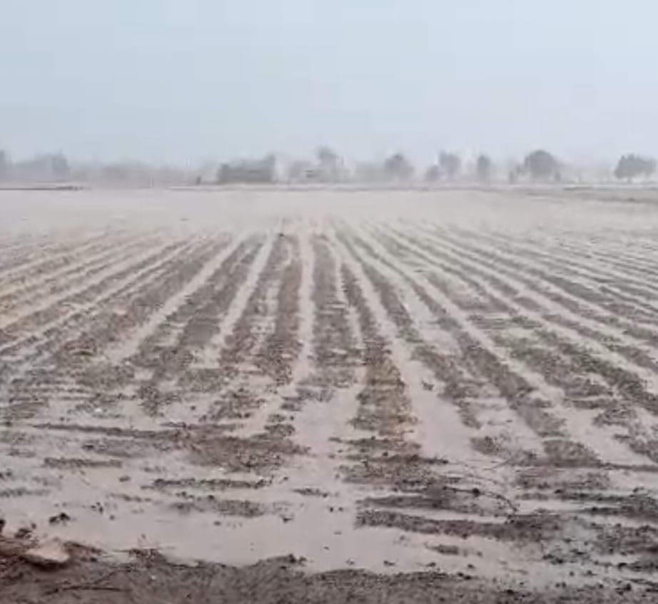 નીચાણ વાળા વિસ્તારમાં પાણી ભરાયા