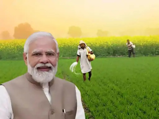 প্রধানমন্ত্রী কিসানকে সম্মানিত তহবিল (প্রধানমন্ত্রী-কিসান) স্কিমগুলিতে ২০ টি সেটআপ করা হবে ২ আগস্ট