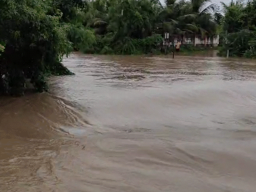Gujarat Saurashtra Rain Havoc VIDEOS; Junagadh Mendarda Floods, Rivers  Overflow, Villages Submerged | મેંદરડામાં આભ ફાટ્યું, 13 ઈંચ વરસાદ: ગામડાં  ડૂબ્યાં-ખેતરો બેટમાં ફેરવાયાં, મધુવંતી ...