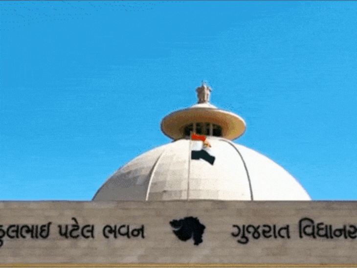 108 દિવસ બાદ પણ સરકારે બેરોજગાર રત્નકલાકારોને સહાય ચૂકવી નથી, વિધાનસભામાં પ્રશ્ન પૂછાતા સરકારે ખુલાસો કર્યો|બોટાદ,Botad - Divya Bhaskar