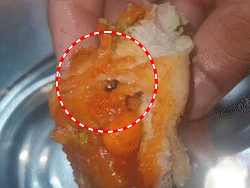 પાંઉમાં જીવડું, છાશમાં માખી ને શાકભાજી પણ સડેલા મળ્યા, AMCએ રસોડું સીલ માર્યું|અમદાવાદ,Ahmedabad - Divya Bhaskar