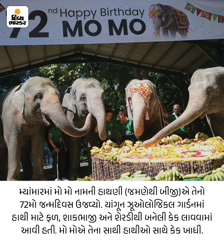 Divya Bhaskar Morning News Brief America talked about India and Pakistan