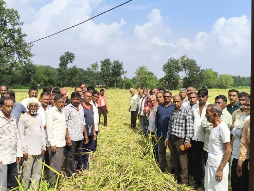 Crop damage due to unseasonal rains in Anand: Survey 90 percent complete
