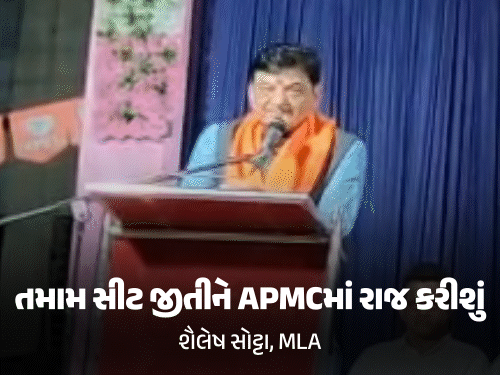 BJP Politics Dabhoi APMC Election Update; MLA Shailesh Sotta Challenges Opponents