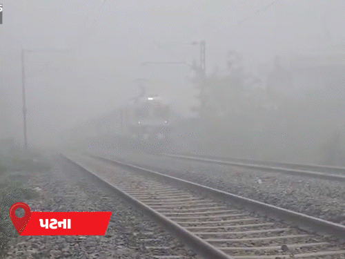 નાલંદા, પટના, છપરા સહિત ઘણા જિલ્લાઓમાં શુક્રવારે સવારે ગાઢ ધુમ્મસ છવાયું હતું.