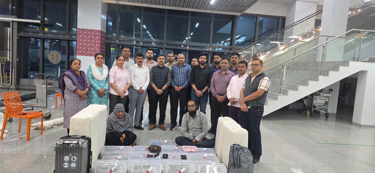 Surat Airport: 17.7 Kg Hybrid Ganja Worth ₹6 Crore Seized; 2 Arrested by  Crime Branch PHOTOS | 4 બેગના ગુપ્ત ખાનામાંથી હાઇબ્રીડ ગાંજાના 16 પેકેટ  મળ્યા: 6.18 કરોડના ગાંજા સાથે મહિલા સહિત