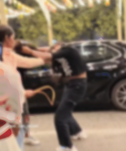 ચાર યુવતીઓ વચ્ચે મારામારીનો વીડિયો વાઈરલ.