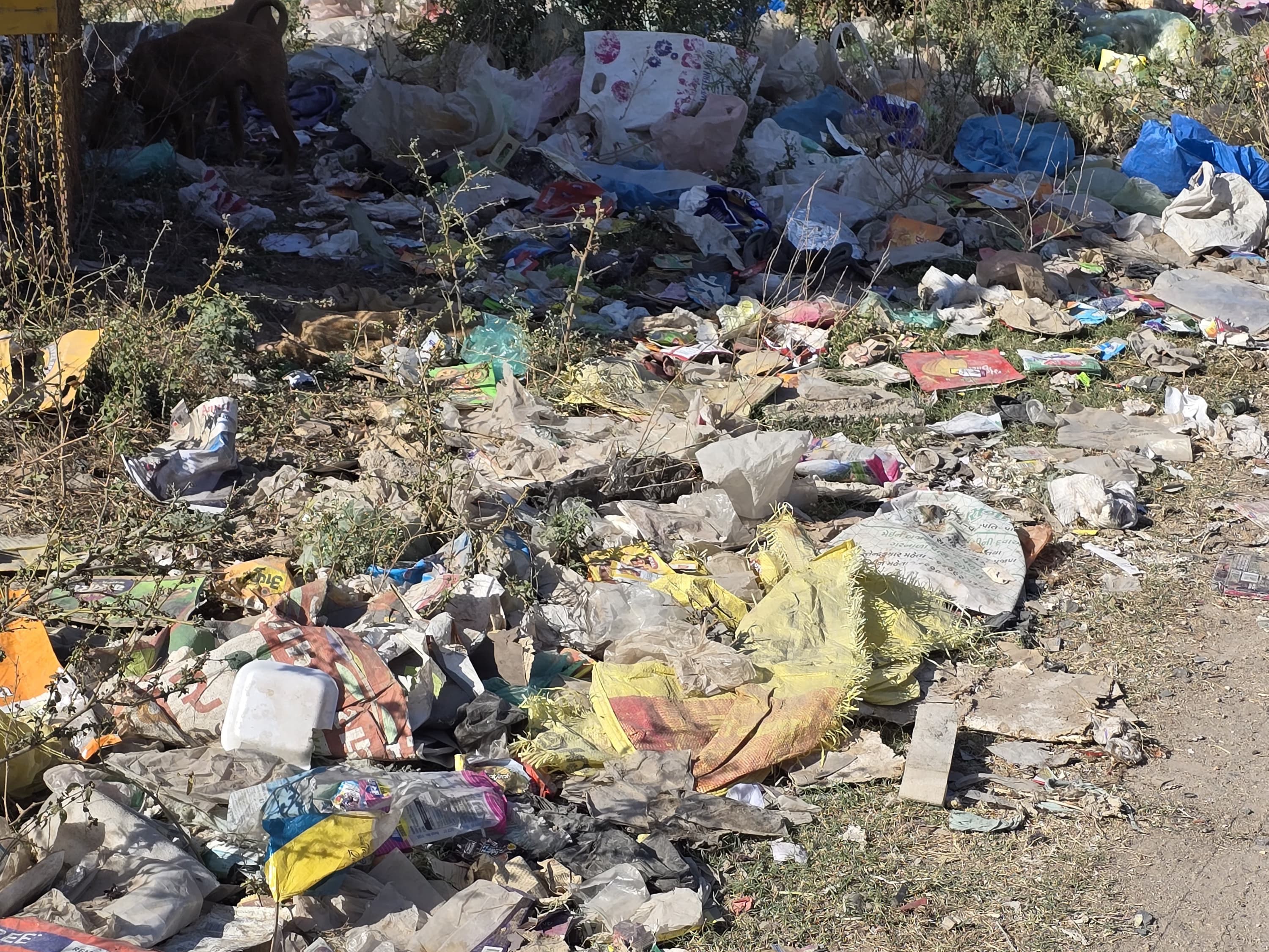 Sankheda Temple Garbage Dumping Protest; Locals Demand New Site VIDEOS