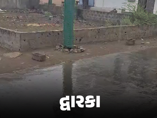 Temperatures will drop in the next 2 days, rain forecast in North Gujarat and Saurashtra today | ભર શિયાળે માવઠું, રાજકોટ, ધોરાજી અને જૂનાગઢના ગ્રામ્ય પંથકમાં વરસાદ: ચણા-જીરું સહિતના ...
