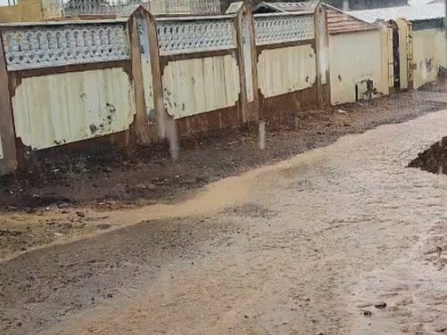 Temperatures will drop in the next 2 days, rain forecast in North Gujarat and Saurashtra today | ભર શિયાળે માવઠું, રાજકોટ, ધોરાજી અને જૂનાગઢના ગ્રામ્ય પંથકમાં વરસાદ: ચણા-જીરું સહિતના ...