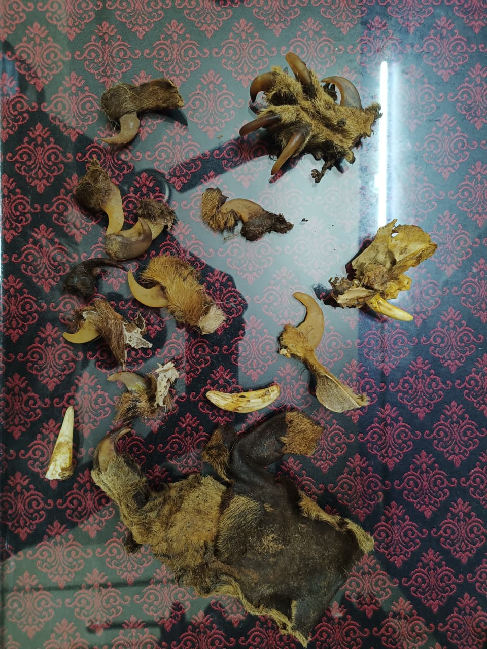 વાઘના નખ