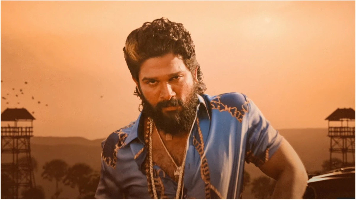 અલ્લુ અર્જુનની 'પુષ્પા: ધ રાઇઝ' અને 'પુષ્પા 2: ધ રૂલ' સુપરહિટ રહી હતી.