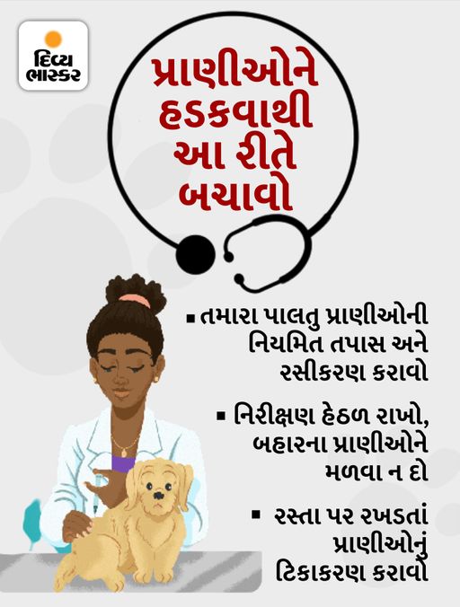 Banaskantha Man Rabies Attack; Bites People, Creates Chaos at Hospital