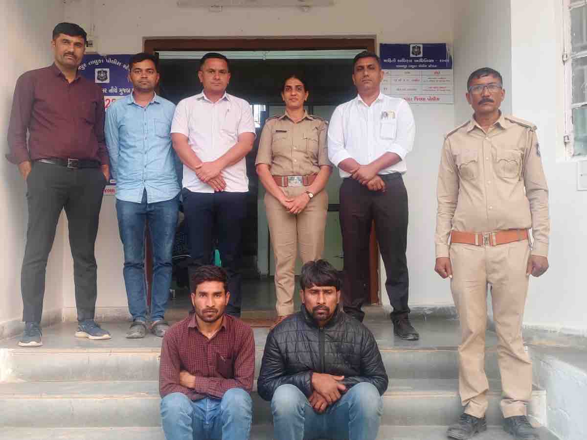 Latest banaskantha (Palanpur) News (બનાસકાંઠા (પાલનપુર) સમાચાર): વાંચો 3 ફેબ્રુઆરી ના તાજા સમાચાર દિવ્ય ભાસ્કર પર