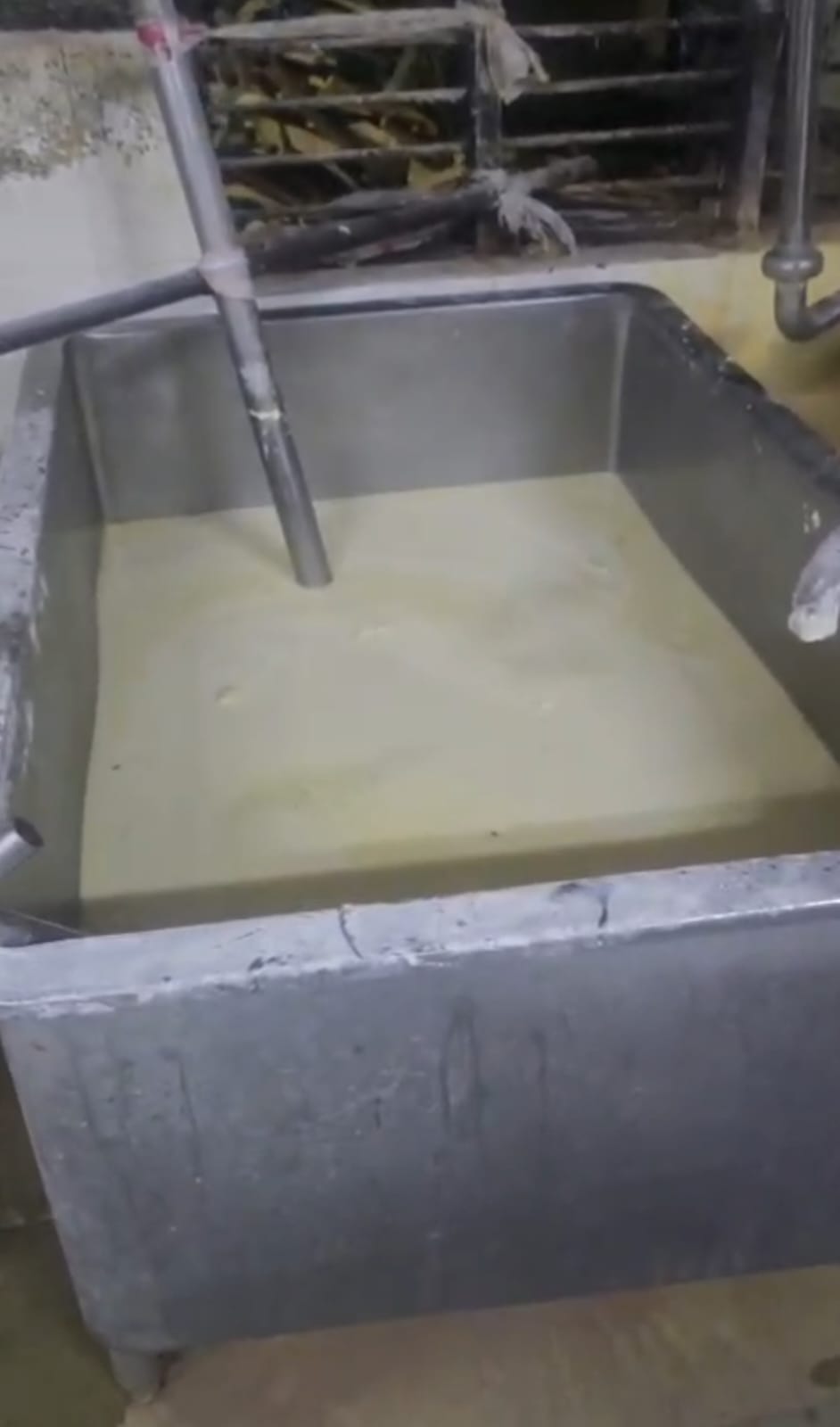 Urea, milk powder, soybean oil, palm oil, detergent powder were mixed  together.