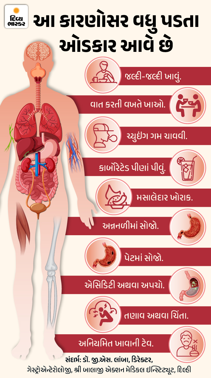 Burp Science Explained by Gastroenterologist | 5 Tips for Gas & Indigestion