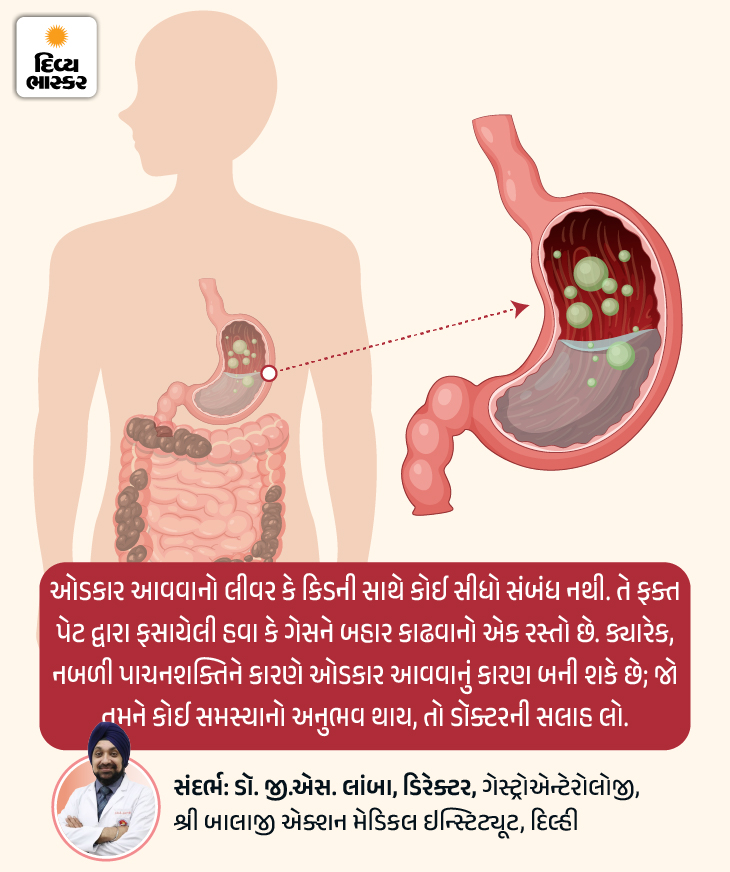 Burp Science Explained by Gastroenterologist | 5 Tips for Gas & Indigestion