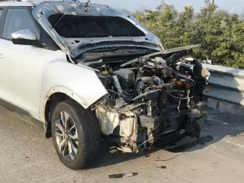 Leopard Death on Vadodara-Mumbai Expressway After Car Collision