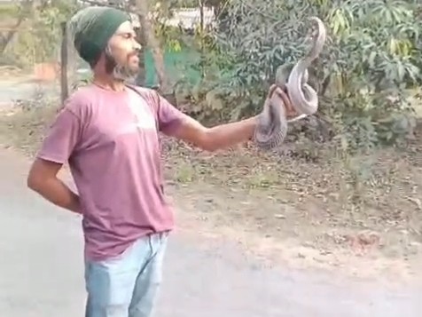 Sucomes Pardhi Cobra Rescue Death | Neerav Patel Succumbs to Snakebite
