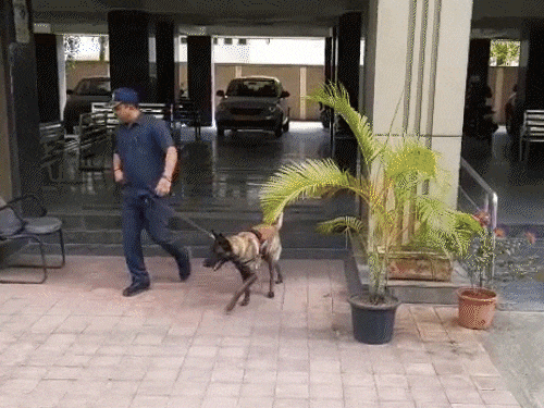 Bomb Threat Scare in Gujarat