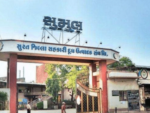 Sumul Dairy Hikes Milk Procurement Prices