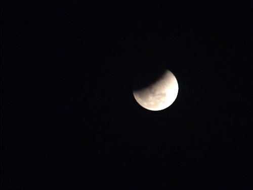 Lunar Eclipse 2026: Temples Close, Mahakaleshwar Holi Celebration