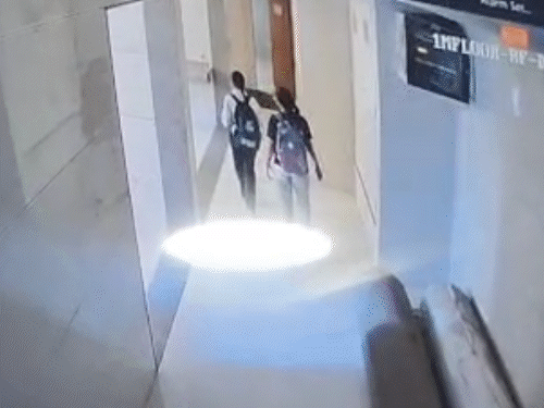 ChatGPT પર 'How to commit suicide' સર્ચ કર્યું હતું. - Divya Bhaskar