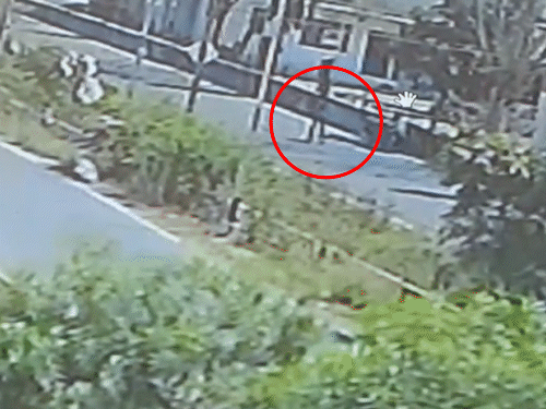 વિકૃત શખ્સે પહેલાં સગીરાને પોતાની પાસે બોલાવી હતી, પછી તેની પાસે અશોભનીય ચેષ્ટા કરાવી હતી. - Divya Bhaskar