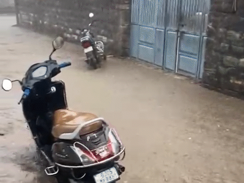 Unseasonal Rain Lashes Gir