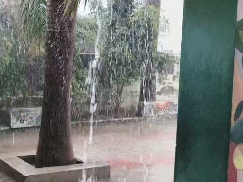 Unseasonal Rain Lashes Gir